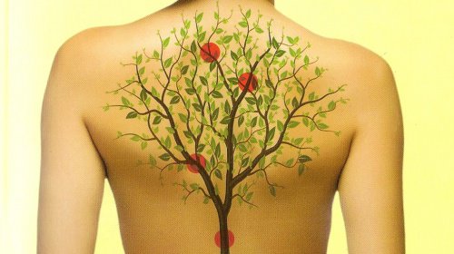 Como nossas emoções afetam as dores nas costas? Como nossas emoções afetam as dores nas costas?