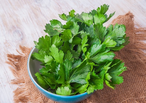 Salsinha para pele e poros abertos