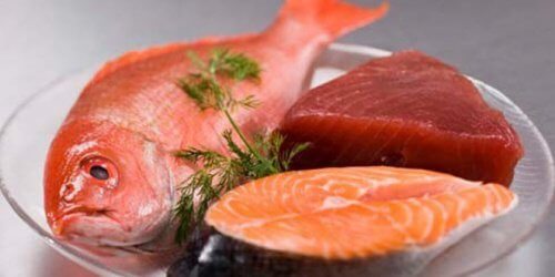 7 tipos de peixes que podem ser prejudiciais para a saúde 7 tipos de peixes que podem ser prejudiciais para a saúde