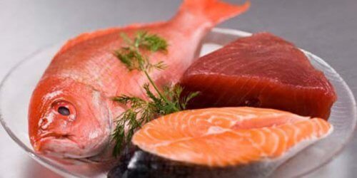7 tipos de peixes que podem ser prejudiciais à saúde