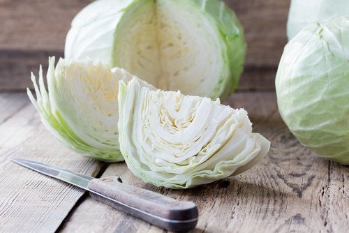 Repolho-para-ter-pulmoes-saudaveis