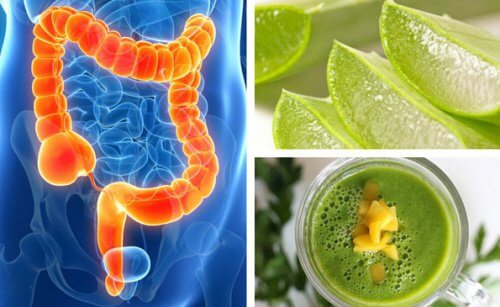 4 batidas para depurar o cólon: deliciosas e com propriedades curativas 4 batidas para depurar o cólon: deliciosas e com propriedades curativas