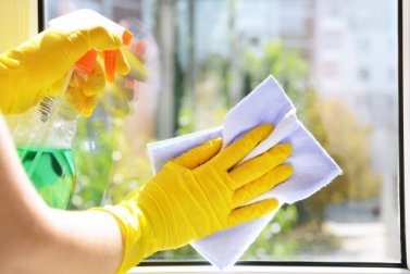 6 limpa-vidros caseiros e ecológicos