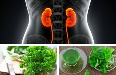 As 3 melhores infusões para melhorar a função renal