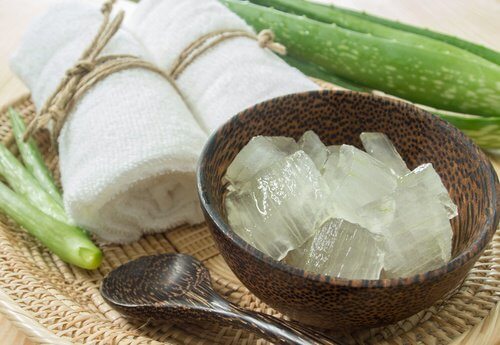 Babosa para preparar um gel caseiro para rejuvenescer a pele