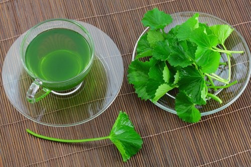 Infusao-de-salsa-para-funcao-renal