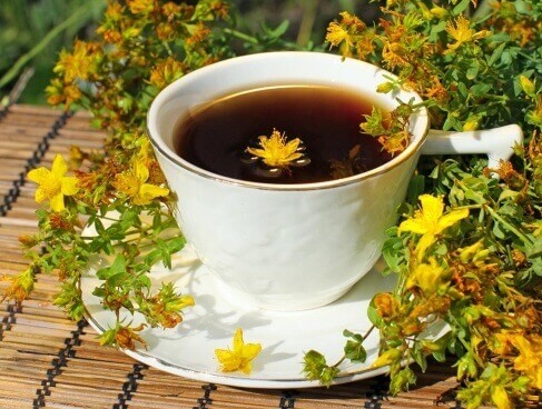 Infusao-erva-sao-joao