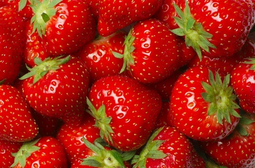 Morangos