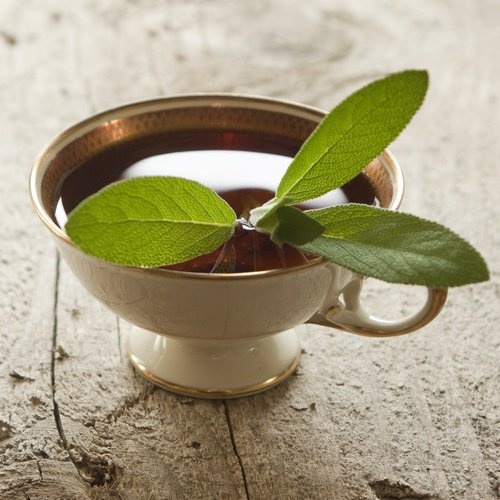 Salvia-para-a-beleza-dos-seus-cabelos