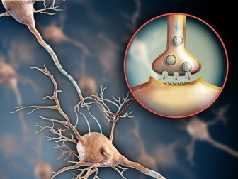6 formas de manter o sistema nervoso saudável