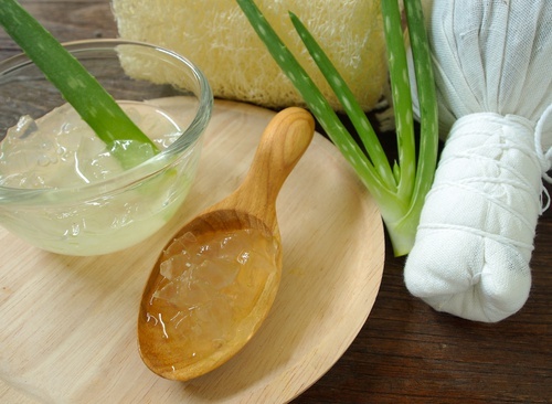 Aloe-vera