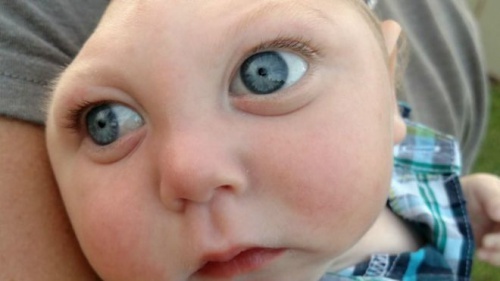 Jaxon-Buell