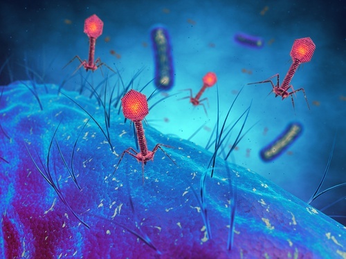 Infeccão-e-cancer-de-pulmao