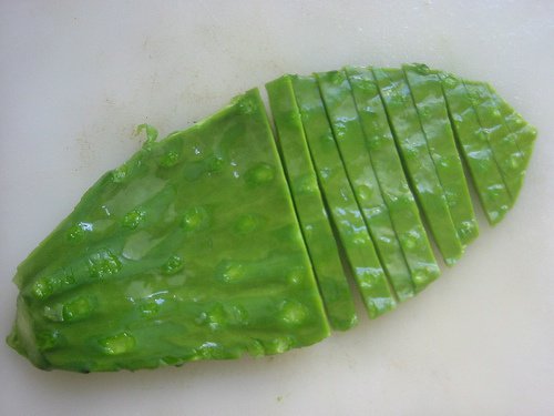 Aloe vera contra a diabetes