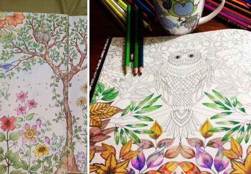 Pintar-livros