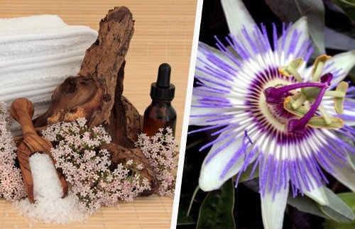 valeriana-passiflora-500x323