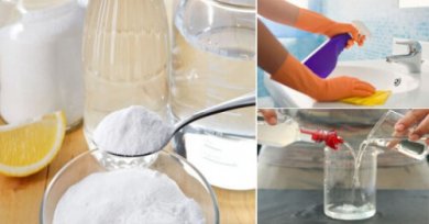 5 truques para desinfetar a casa de forma natural