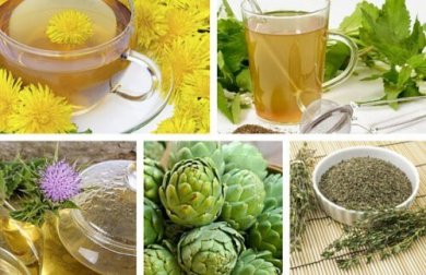 As infusões de ervas servem para desintoxicar o corpo?