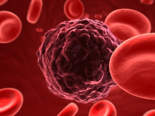 Celulas-cancerigenas