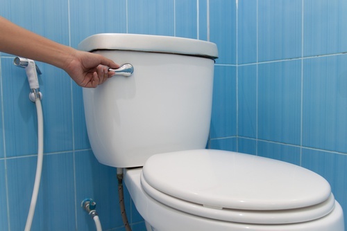 As  mulheres que usam banheiros públicos devem saber que o vaso sanitário é cheio de bactérias