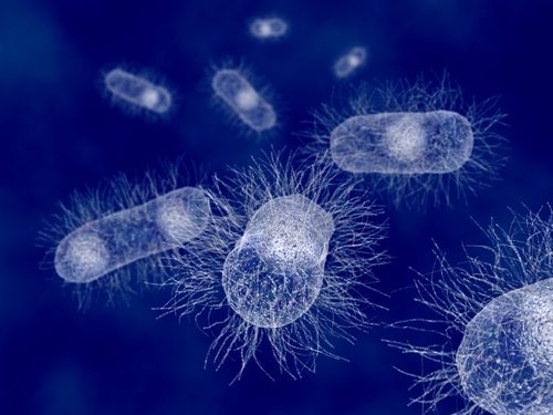 Supercrescimento bacteriano