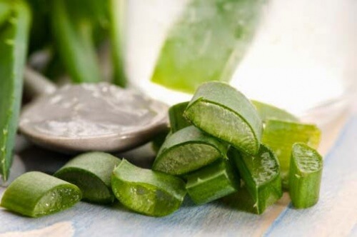 Aloe vera para aliviar queimaduras solares