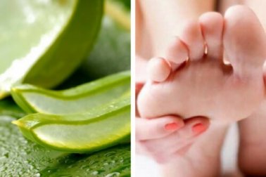 Como combater fungos nos pés com aloe vera