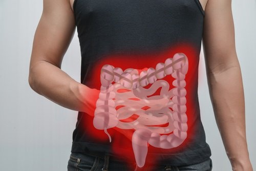 intestino