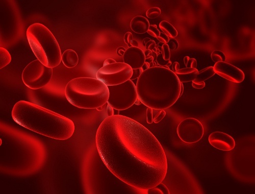 Sangue