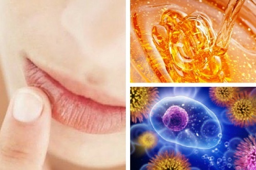 10 maravilhosos benefícios do mel natural