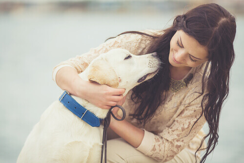 Ser feliz com seus animais de estimação