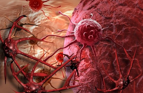 Mamografia para o estudo das células