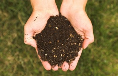 5 adubos ecológicos para nutrir suas plantas