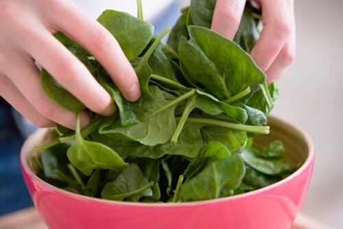 espinafre-combater-efeitos-da-menopausa