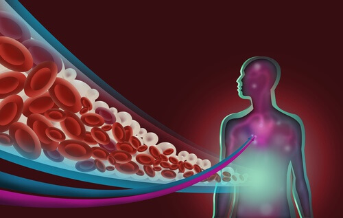 semente-de-uva-protege-de-doenças-cardiovasculares