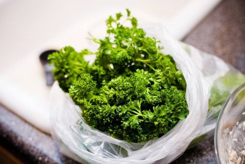 Ervas para limpar os rins naturalmente