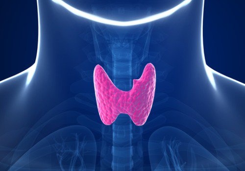 7 sinais de problemas na tireoide que negligenciamos