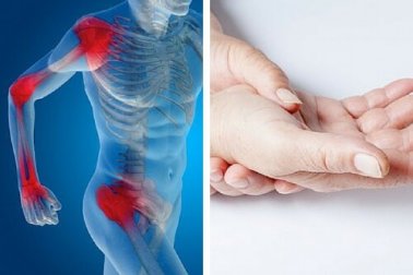 Saiba quais alimentos ajudam a cuidar das cartilagens