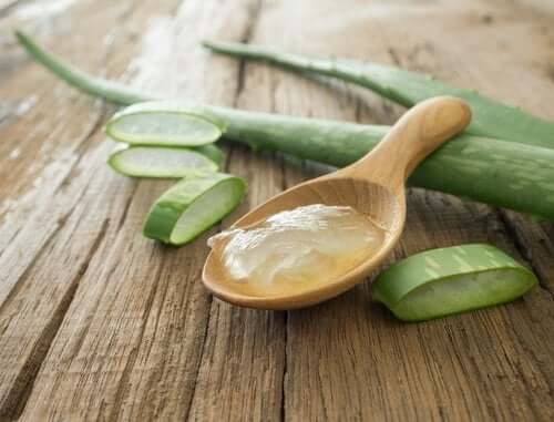 4 cremes caseiros com aloe vera que você não deve perder