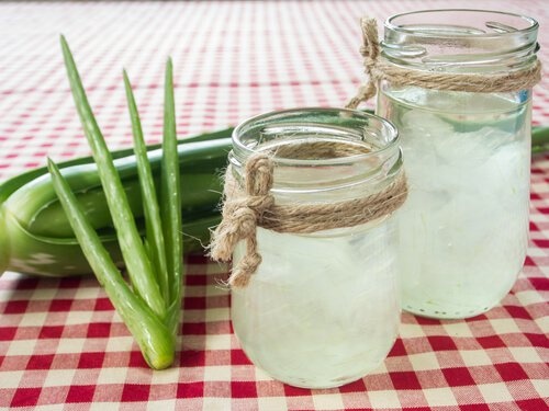 Suco-de-aloe-vera