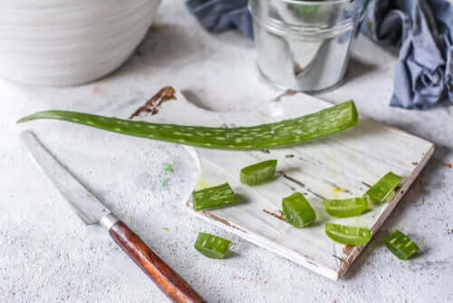 cremes caseiros com aloe vera