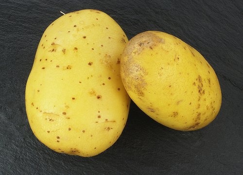 Batatas