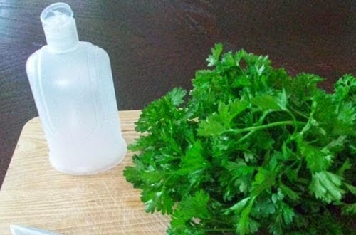 Salsa e garrafa