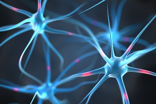 Neuronios