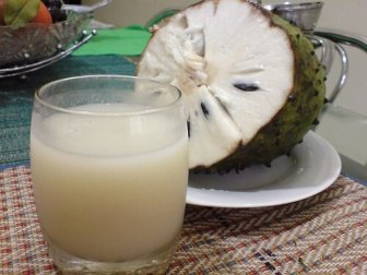 Comer graviola estimula o sistema imunológico e protege o fígado