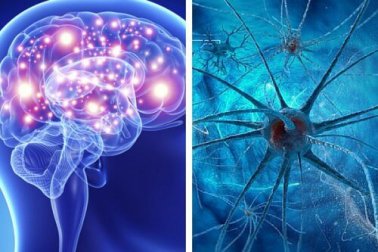 9 hábitos que podem afetar a saúde cerebral