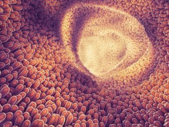 9 sintomas que advertem a presença de parasitas no corpo