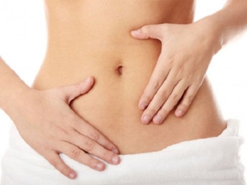 Prebióticos e probióticos ajudam no funcionamento intestinal