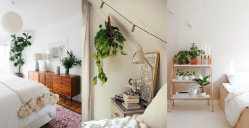 Quartos-com-plantas