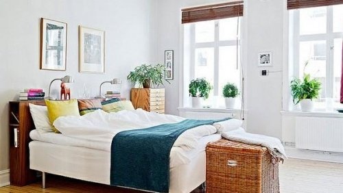 Quarto-com-plantas-purificadoras